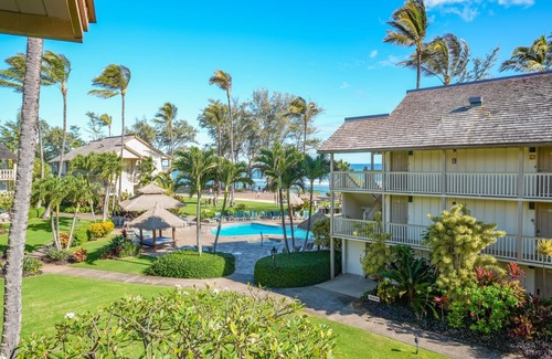 Wailua Apartment | Gorgeous Ocean View Studio | Steps Away From Beach