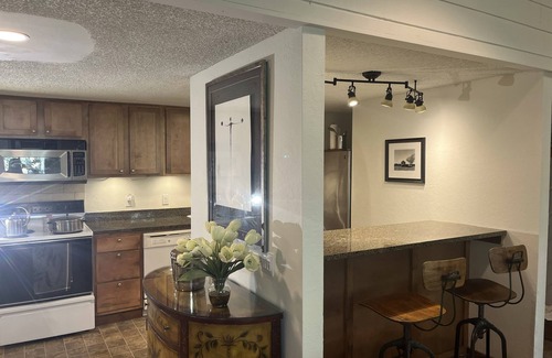 Ketchum Condo | Gorgeous, quiet loft condo-walk to gondola