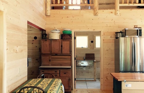 Beaver Island Cabin | Gorgeous Rustic Northern Michigan Island Getaway