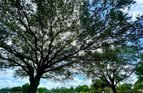 Plantation House | GORGEOUS VIEW Pool, Park, Mall, Beaches, Airport