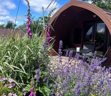 Omagh Other | Gortin Glen Glamping