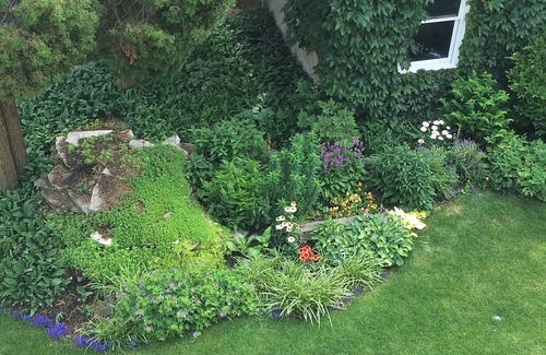 Edgewater House | Gracious, spacious vintage home in a terrific neighborhood near the lake