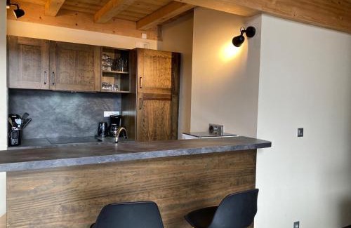 Les Deux Alpes Apartment | Grand appart lumineux 7 pièces, 250m pistes, 10 pers, animaux admis - FR-1-811-13