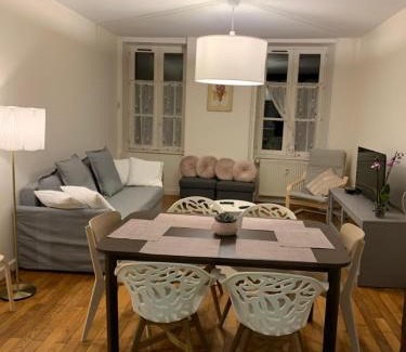 Arbois Apartment | Grand appartement tout confort en plein coeur d'Arbois