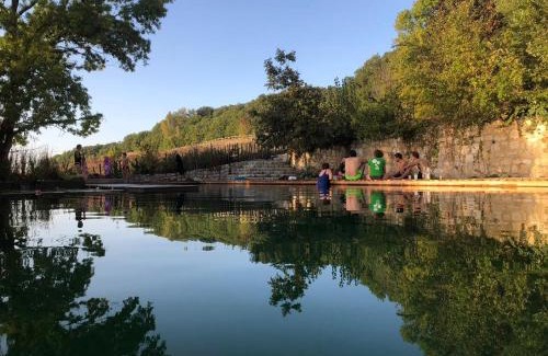 L'Isle-Bouzon House | Grand Gîte Les Cabanes de Fallot pour 19 personnes - piscine naturelle