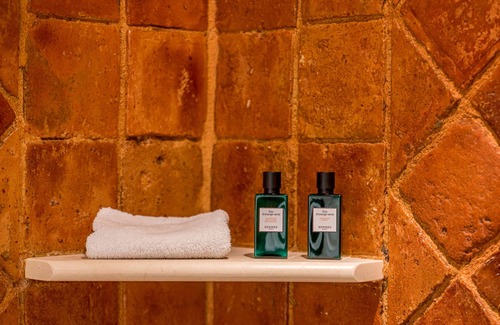 Romorantin-Lanthenay Hotel | Grand Hotel du Lion d'Or