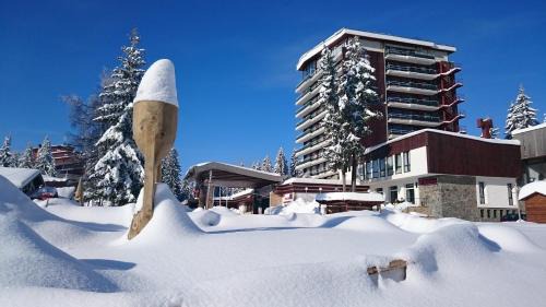 Pamporovo Hotel | Grand Hotel Murgavets