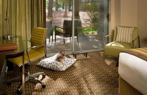 Gainey Ranch Resort | Grand Hyatt Scottsdale Resort