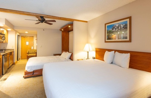 Crested Butte Condo | Grand Lodge Deluxe Studio - Ski Resort and Shuttle steps away!