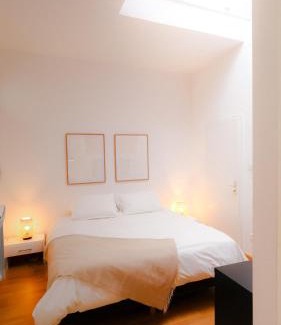 Krutenau Apartment | grand loft avec patio proche des quais Strasbourg