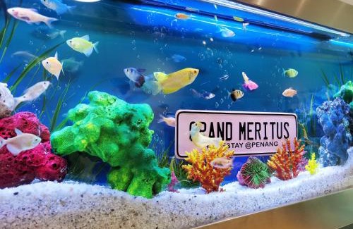 Central Seberang Perai Apartment | Grand Meritus Homestay @Penang