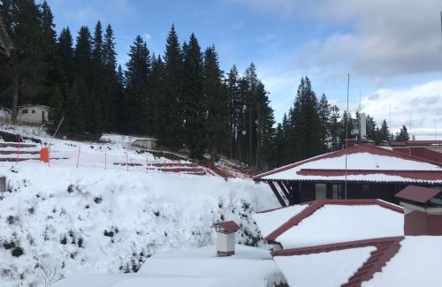 Pamporovo Apartment | Grand Monastery Apart-Hotel
