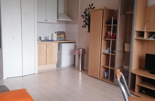 Hopital Saint-Louis Apartment | Grand studio Canal St Martin Paris