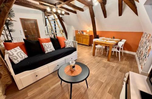 Chateauroux Apartment | Grand studio, Cœur Historique !