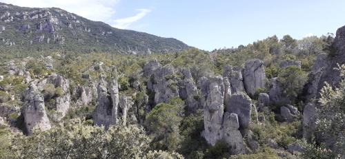 Clermont-l'Herault Apartment | Grand Studio Entre Lac Et Garrigue