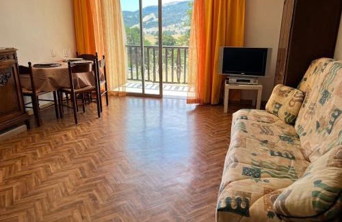 Greolieres les Neiges Apartment | Grand Studio Plein sud vue sur pistes