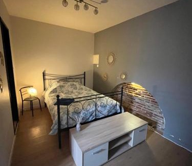 Muret Apartment | Grand STUDIO SUR COUR PRIVATIVE