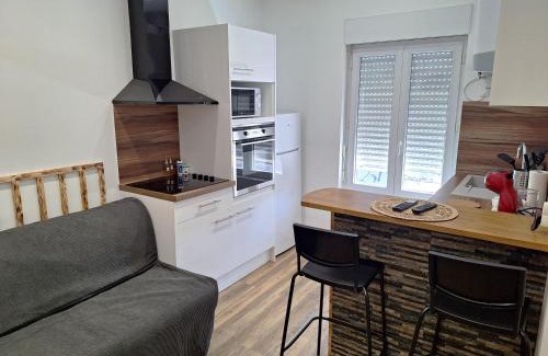 Olivet Apartment | Grand T2 lumineux 2 pers Olivet Avenue Loiret