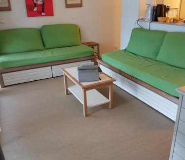 Valescure Apartment | Grand T3 - Terrasse les pieds dans l'eau - Climatisation