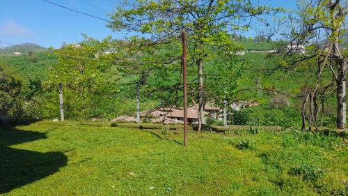 Trabzon House | grand1 guests house