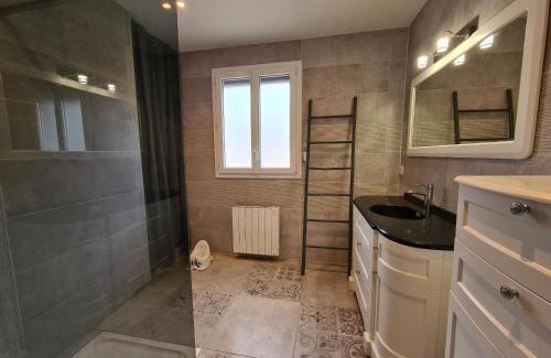 Lucay-le-Male House | Grande Maison au Bord d'un Lac avec Spa, Jardin Clôturé et Proche du ZooParc de Beauval - FR-1-591-336