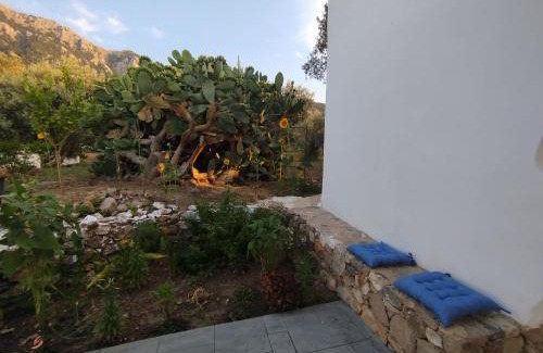 Lagoudi Zia House | Grandpa's place