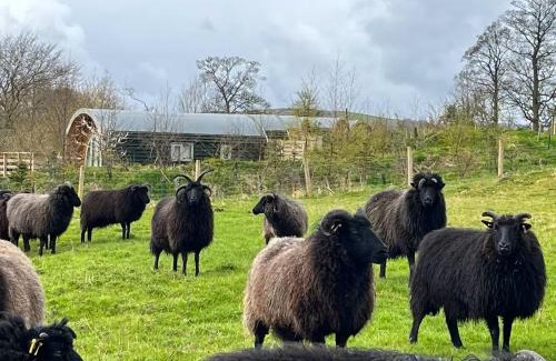 Sutton-in-Craven Other | Grange Beck Farm Glamping