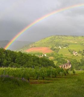 Goutrens House | grange rénovée en pleine nature