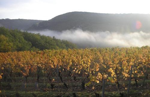 Goutrens House | grange rénovée en pleine nature