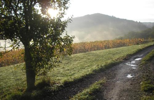 Goutrens House | grange rénovée en pleine nature