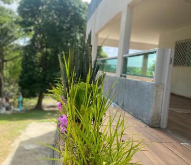 Nova Cruz House | Granja Vale das Águas