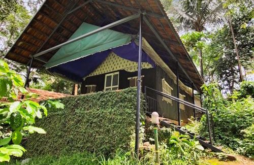 Pinangode Other | Grassroots Wayanad, Valley-view Tents