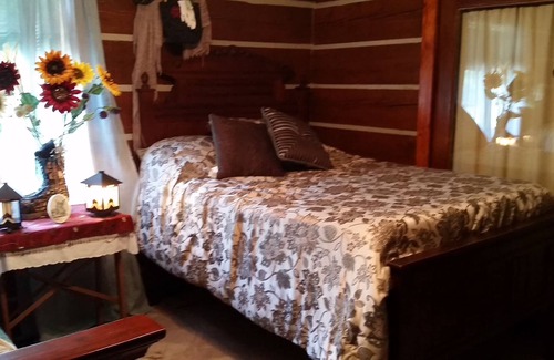 Wilson Creek Cabin | Grayson County Gourmet Getaway - NEW Unlimited High speed wifi and Central A/C!