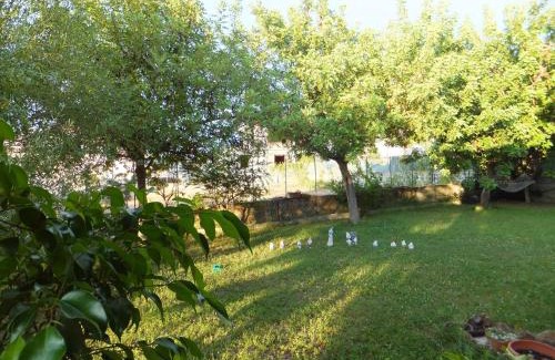 Galtelli Bed & Breakfast | Grazia Deledda