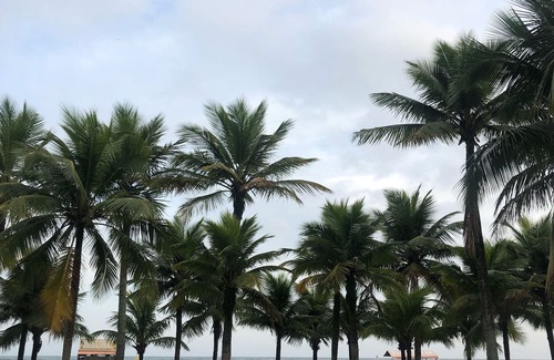 Canto do Forte Apartment | Great apartment 150m from the beach: Canto do Forte Praia Grande - SP