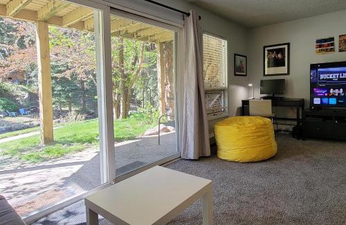 Vail Apartment | Great Creek Views, Pet Friendly, Workspace, On Free Bus Route
