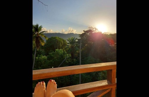 Samana Apartment | Great Palm view - Apartment 3 in Villa Coconut
