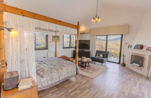 Foinikaria Villa | Great property - amazing views