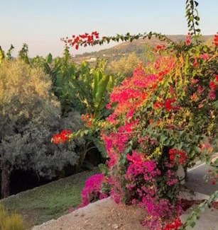 Pythagorion House | Greek Island Guest House Samos Island