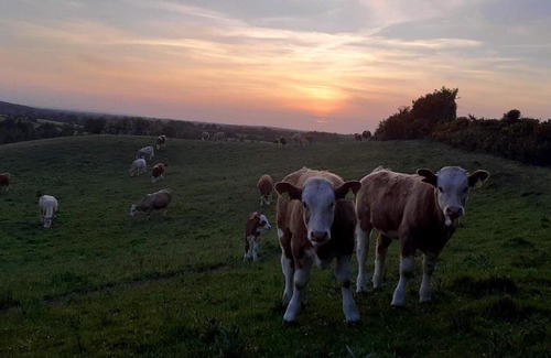 Knockaderry Cross Roads Hostel | Green Adventure EcoHostel