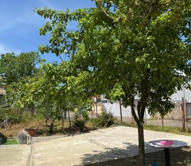 Mtsvane Kontskhi Apartment | Green Field Cottage,Chakvi
