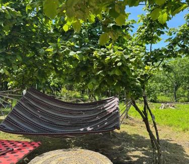 Mtsvane Kontskhi Apartment | Green Field Cottage,Chakvi