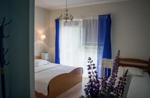 Druskininkai Hotel | Green Gile Villa in Druskininkai Center