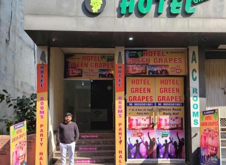 Rohtak Hotel | Green grapes