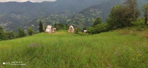 Adjara Ski Chalet | GREEN GUNDAURI
