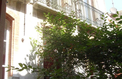 La Palme House | Green haven of peace.