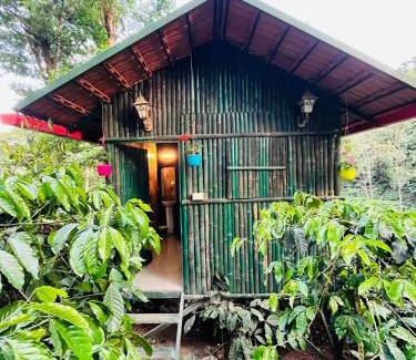 Madikeri House | Green Heaven