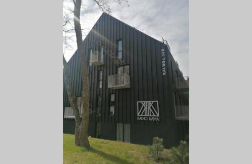 Juodkrante Apartment | GREEN HILL apartment with a view to Lagoon