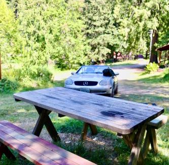 Ashford Other | Green Hill at Rainier Lodge (0.4 miles from the entrance)