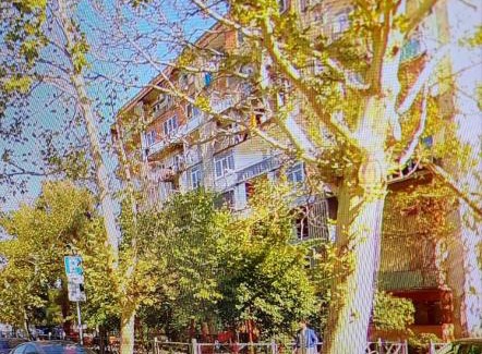 Tbilisi Apartment | Green Home